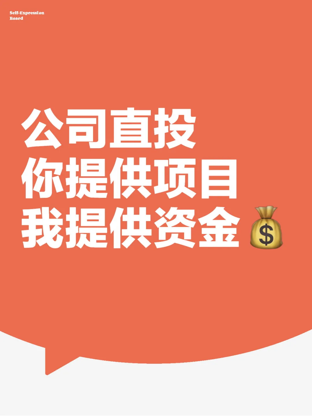 公司直投项目资金