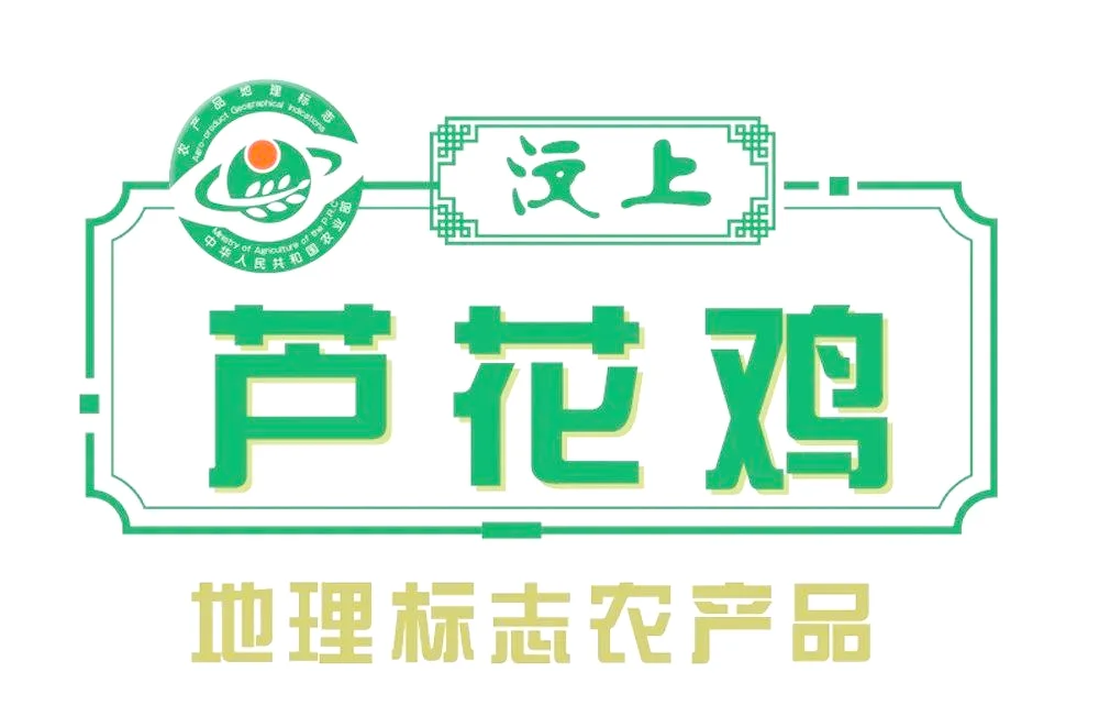 鲁畜优品探秘山东鸡蛋产业的高质量发展之路