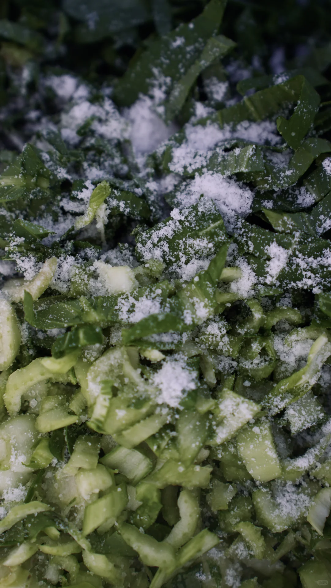 酵素的制作与土壤的快速改良。