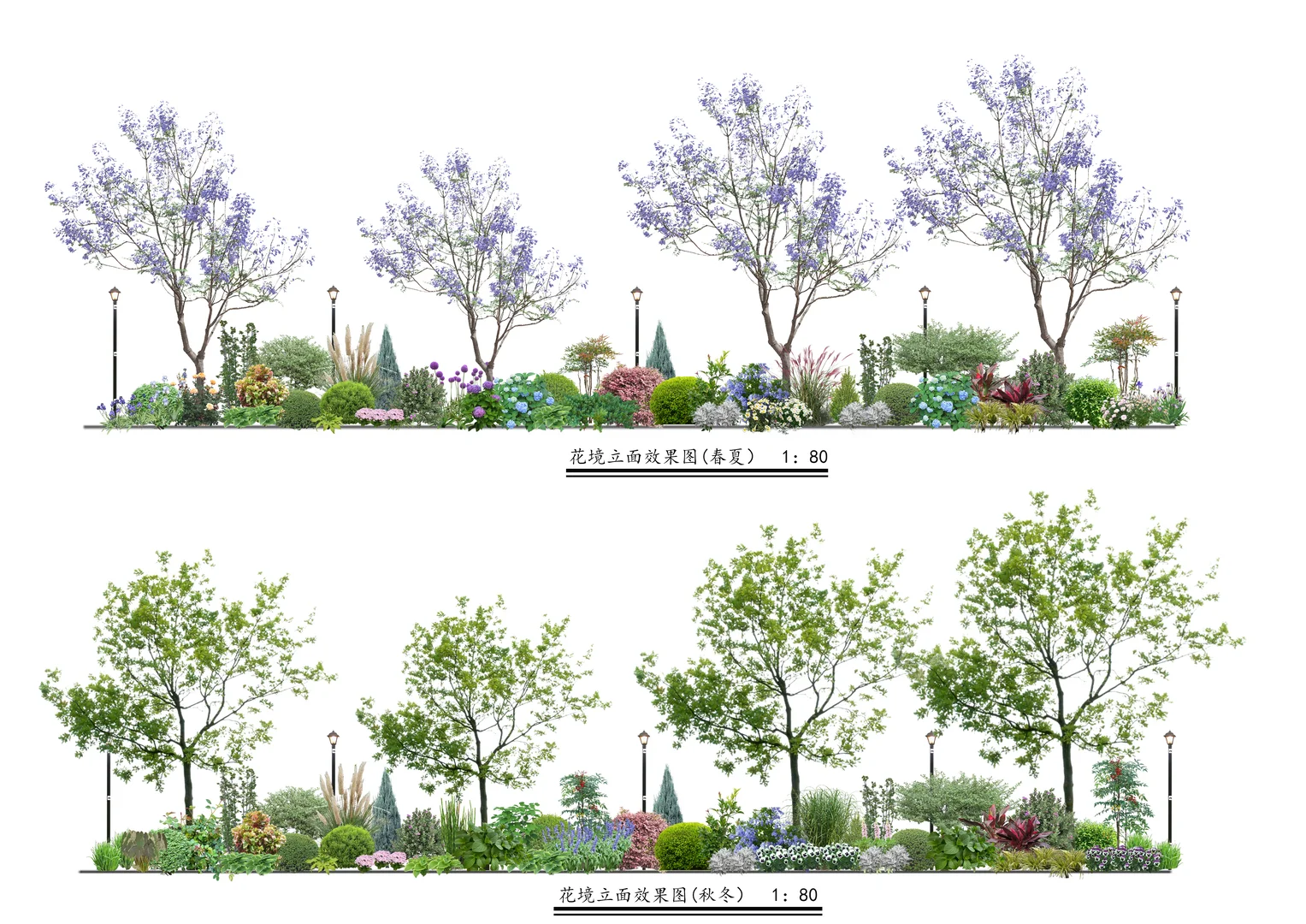 校园花境植物配置