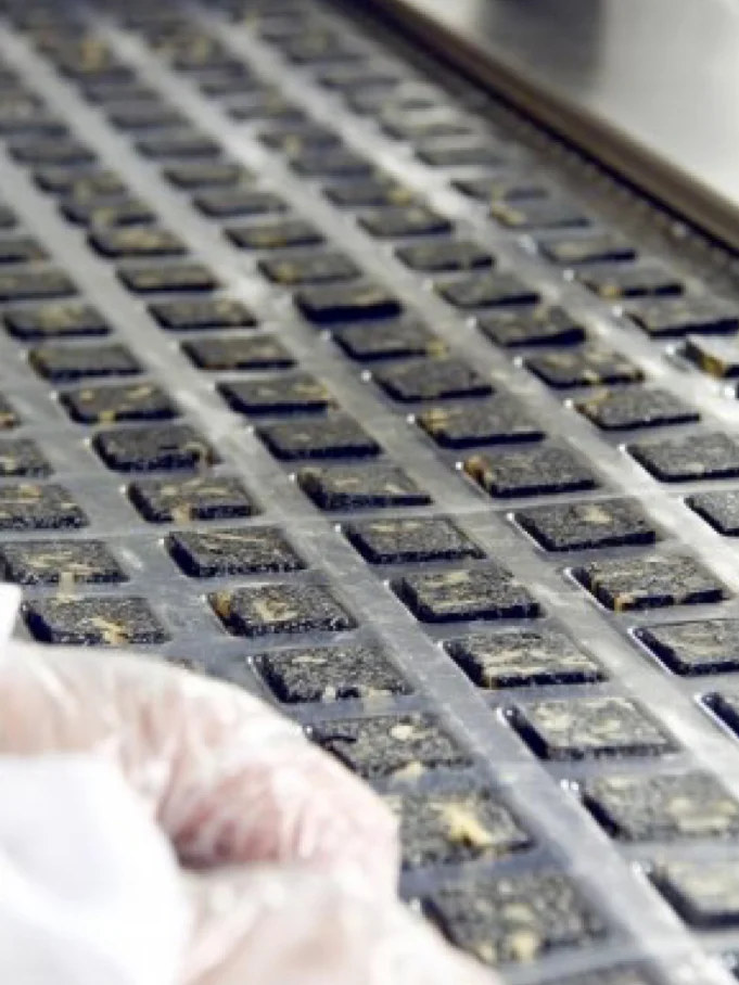 ?找到了阿胶源头生产加工厂～