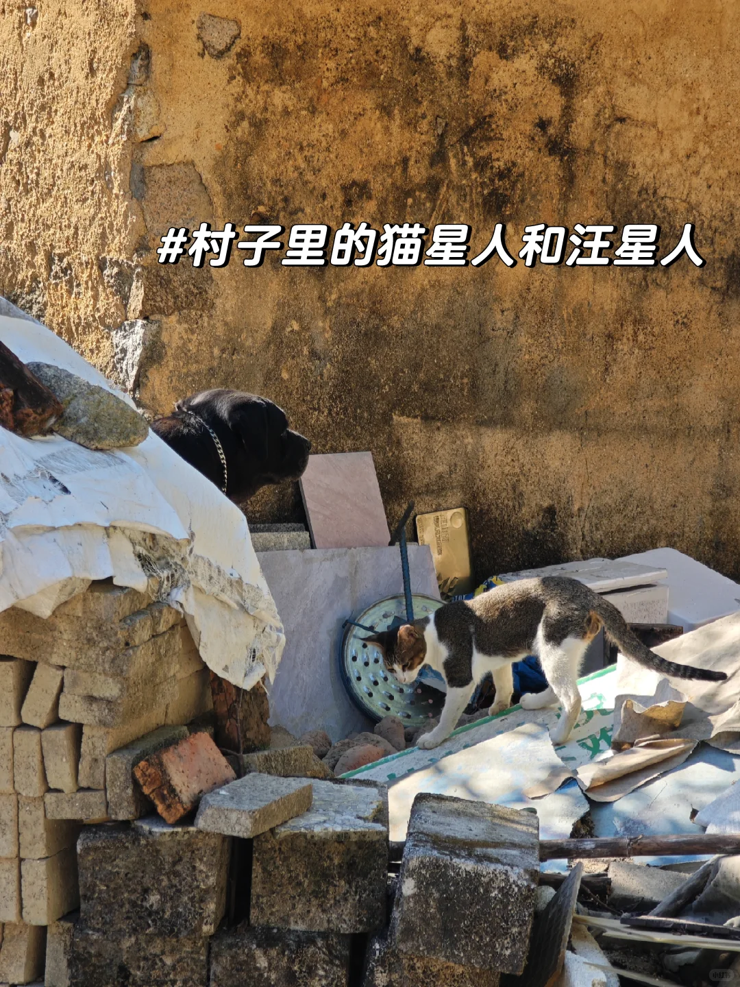 西贡村｜是他乡，也是回不去的故乡