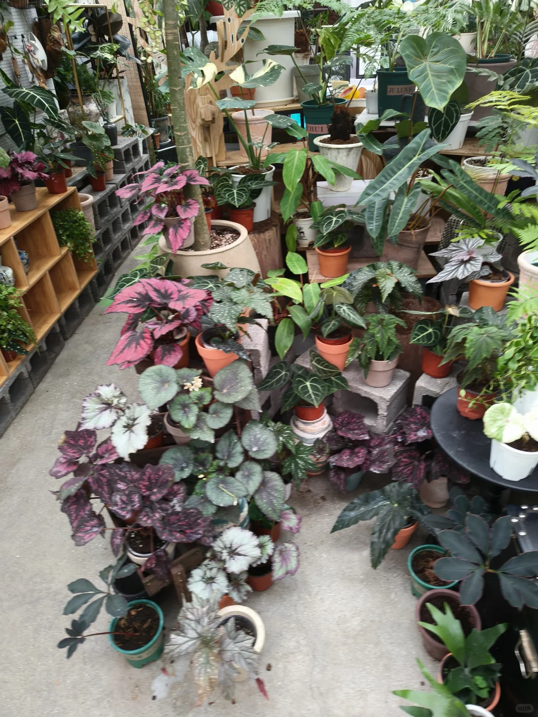 周末就去叁五壹壹吧！