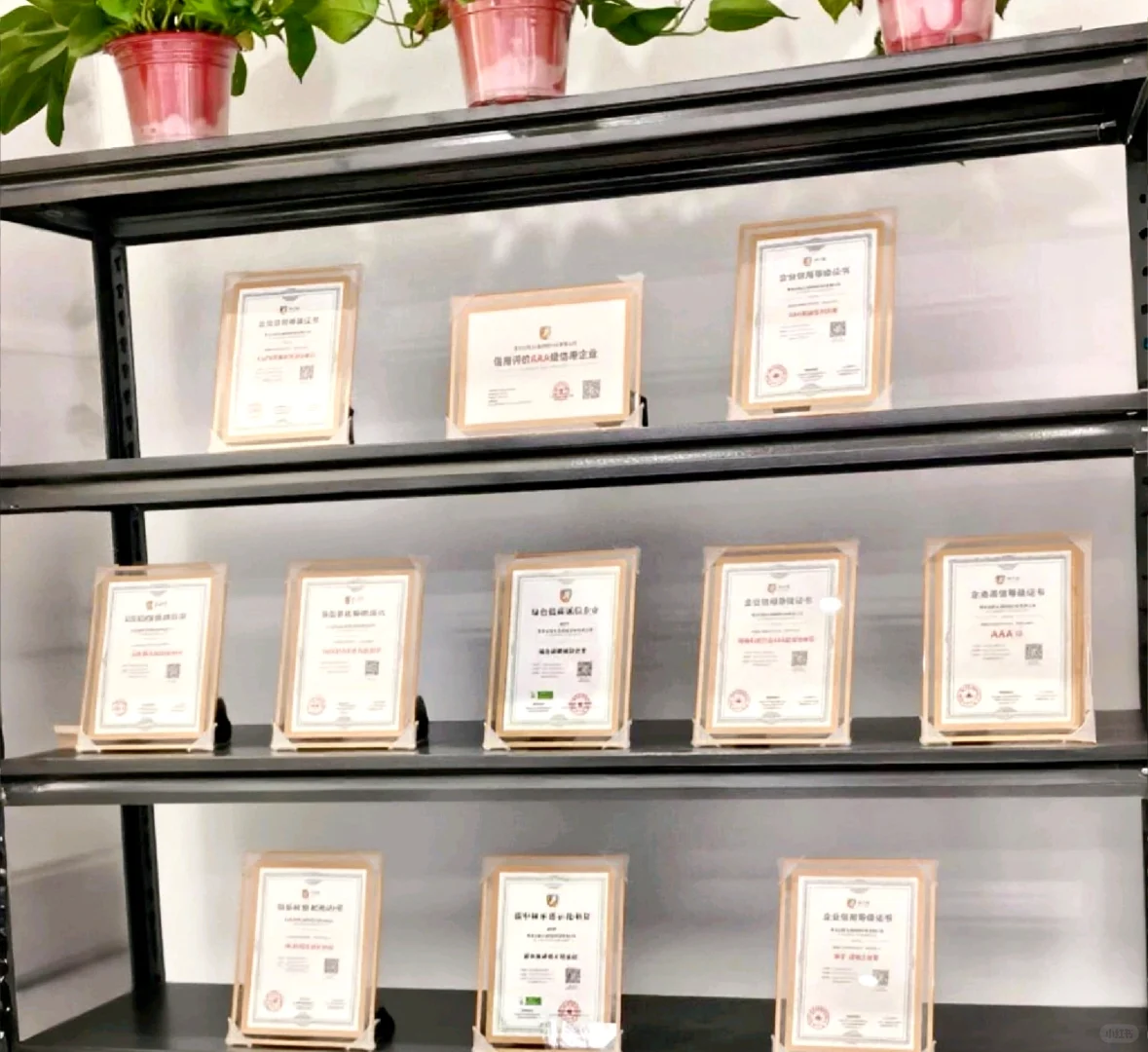 新成立的外贸公司！大家认识一下？