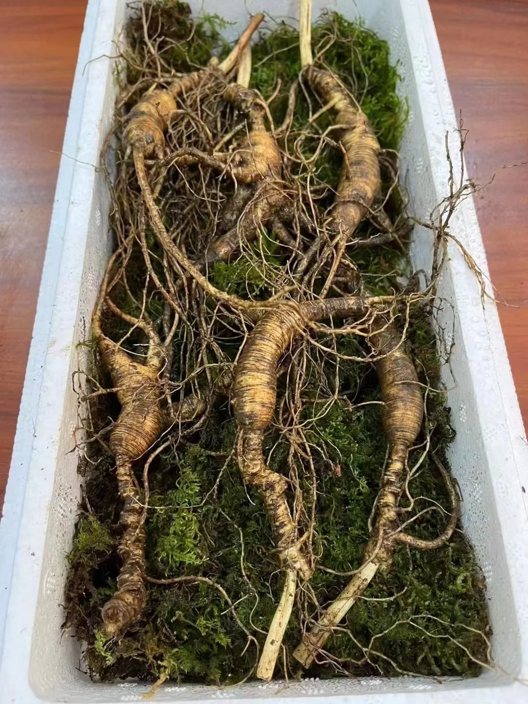 精品林下籽小货，年头高，品相好