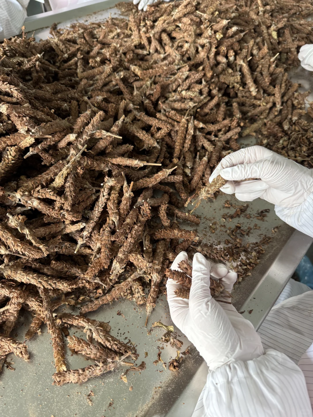 今日加工的小东西～