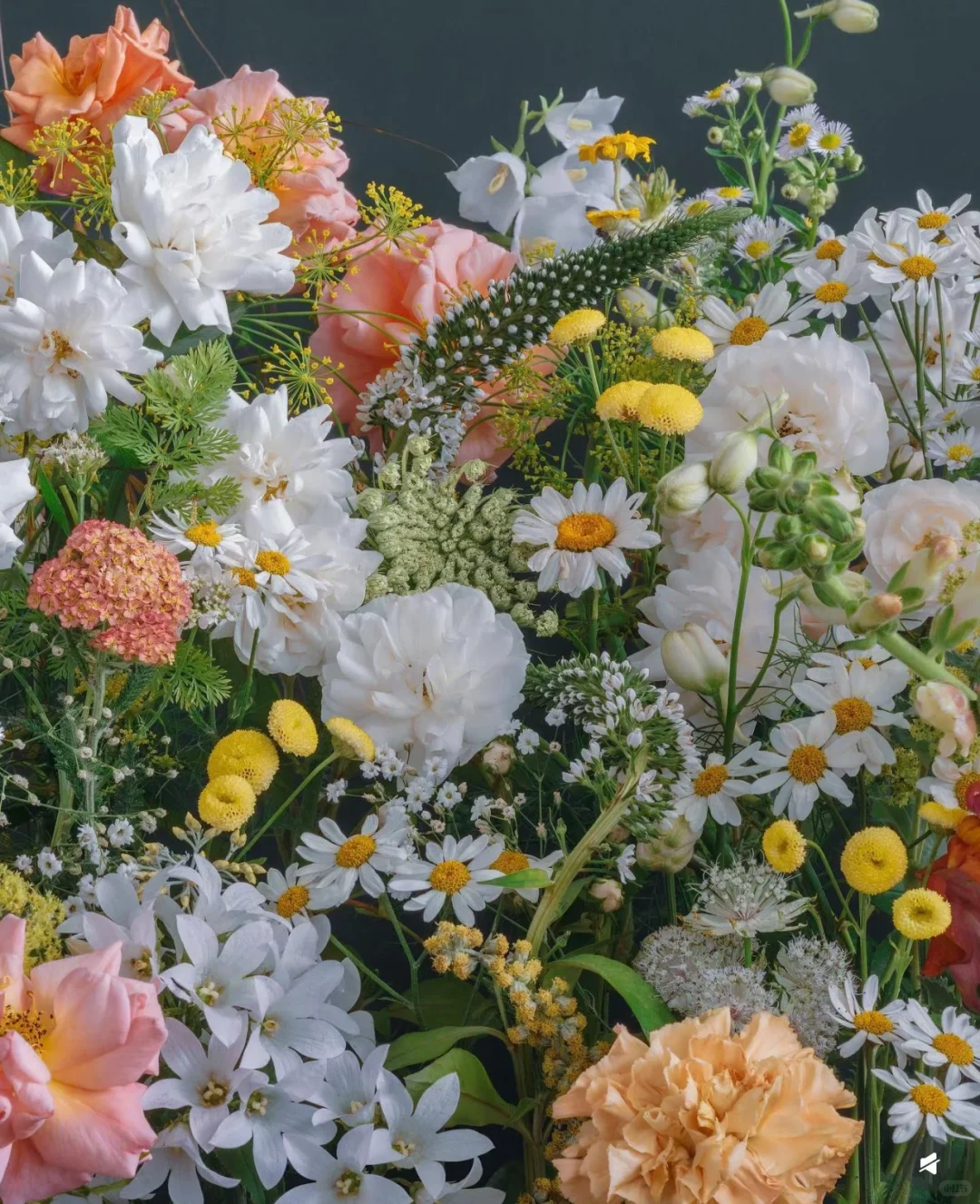 审美｜花艺美图