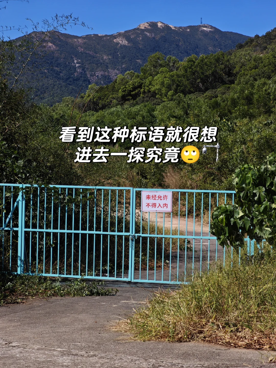 西贡村｜是他乡，也是回不去的故乡