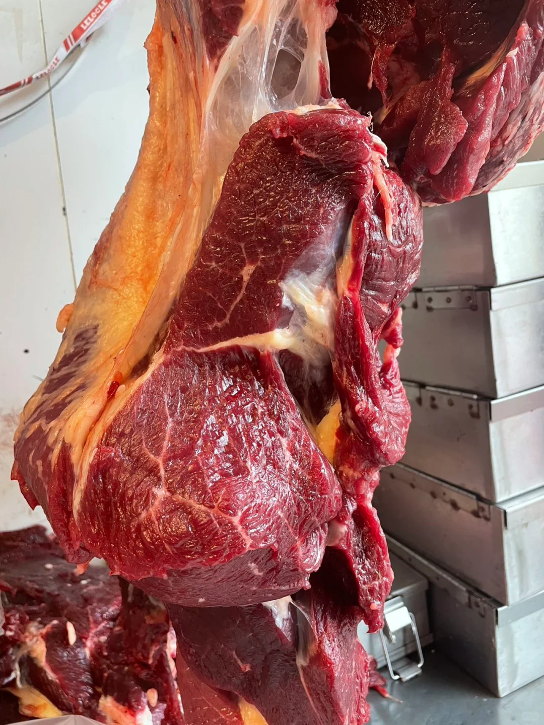 黄膘牛肉货源稳定