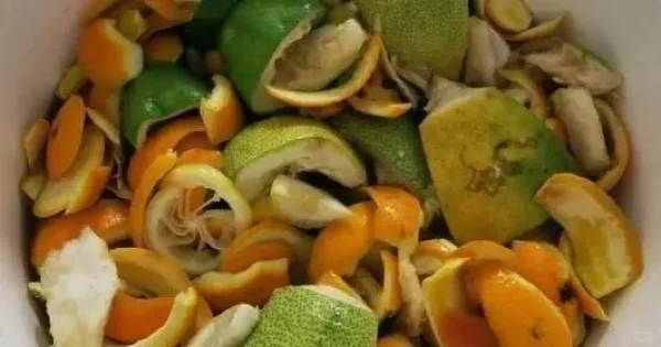 今天你变废为宝了吗？