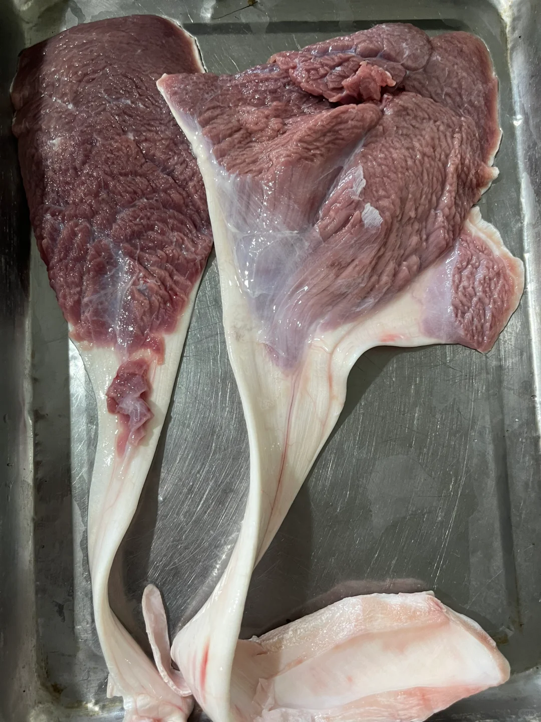 有要的鸵鸟肉的联系