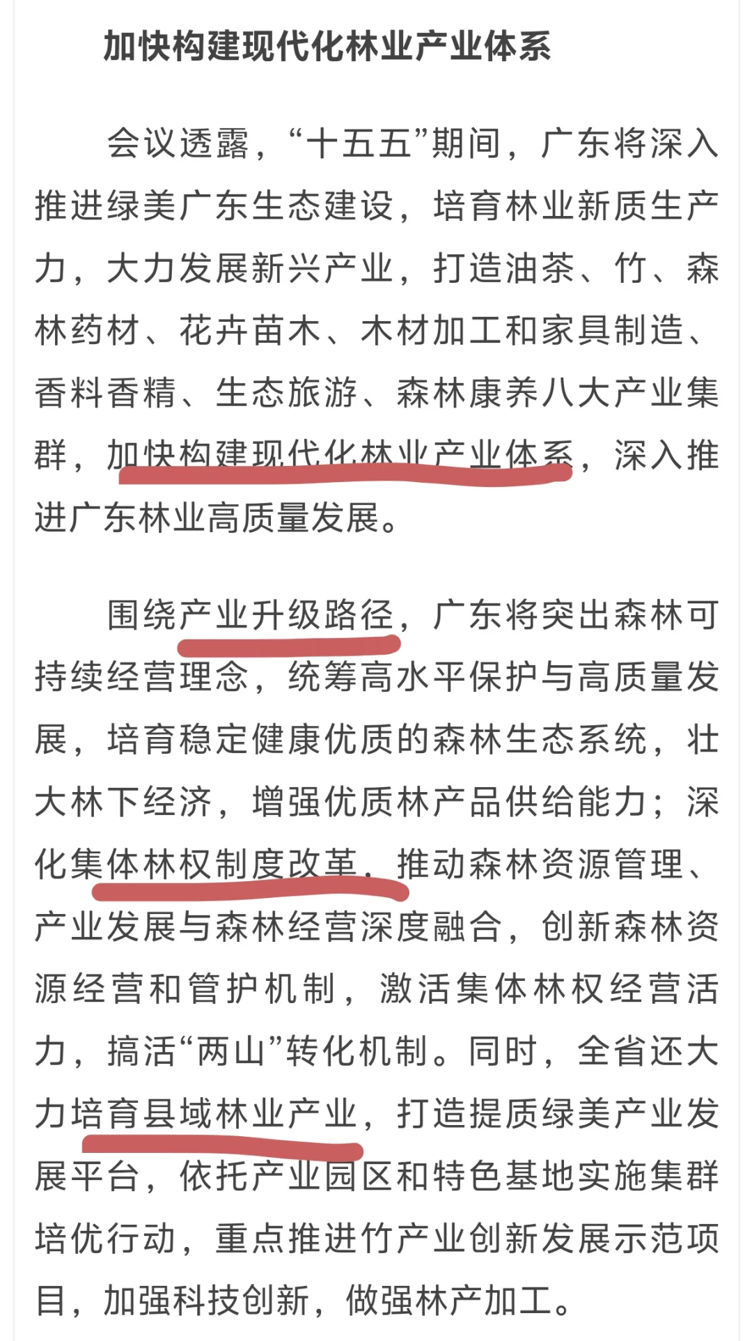 25.10.21｜广东林业产业现代化体系