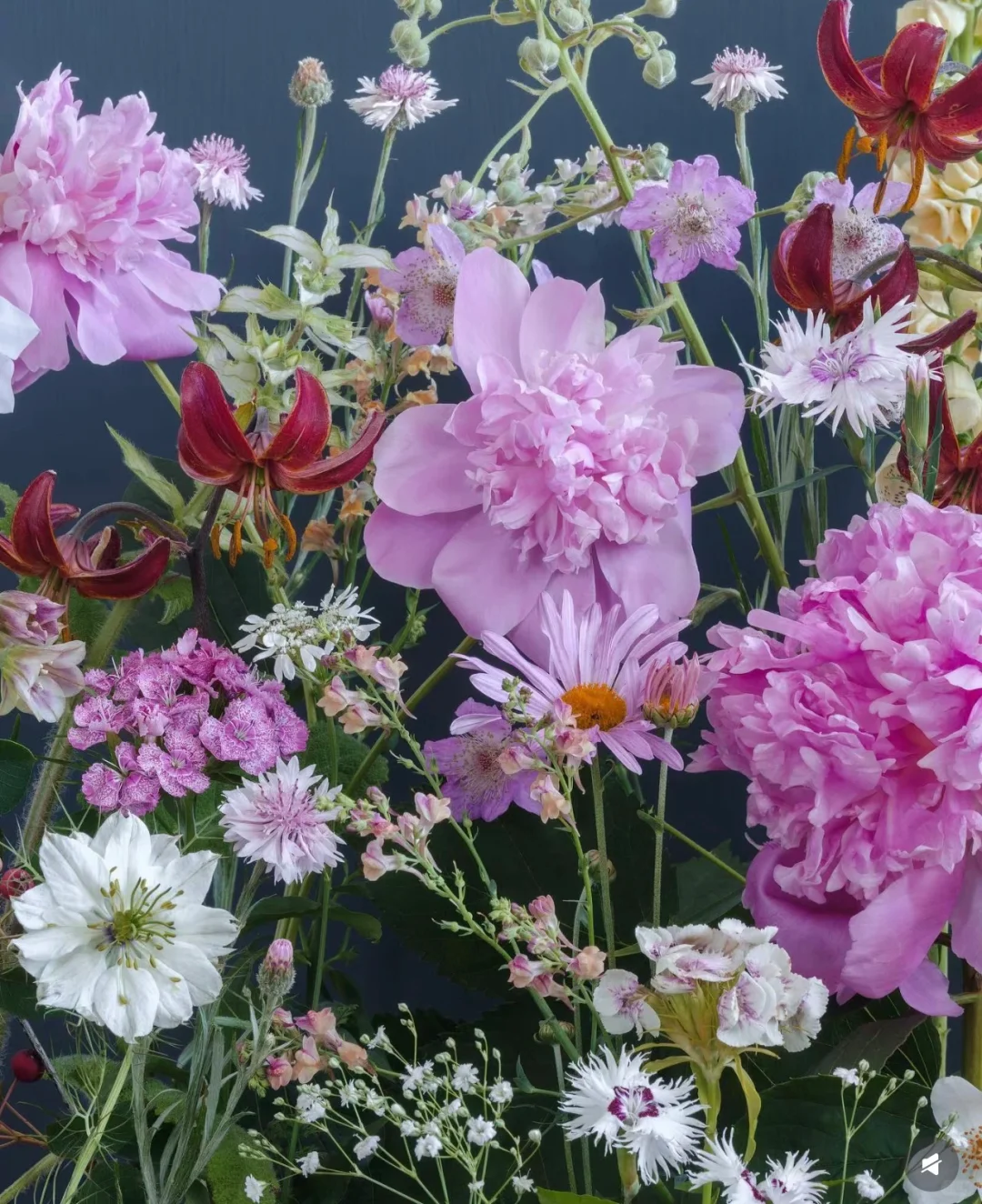 审美｜花艺美图