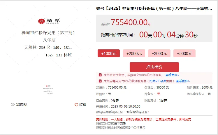 桦甸红松籽采集八年期今日开拍，错过等八年