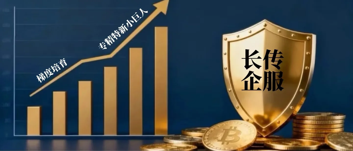总结2025年专精特新小巨人申报的几个核心