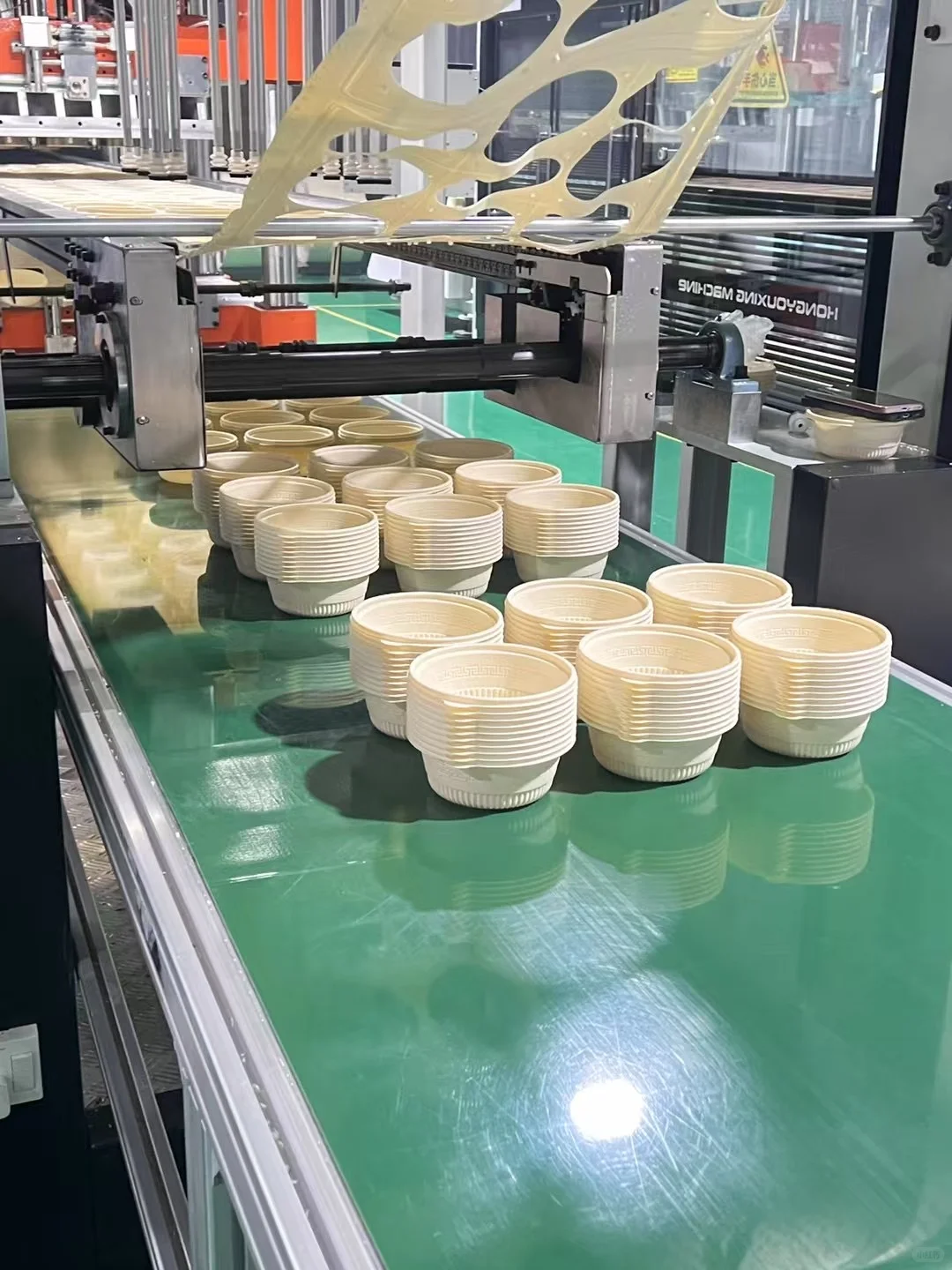 可降解餐盒的生产揭㊙️价格实惠到惊人