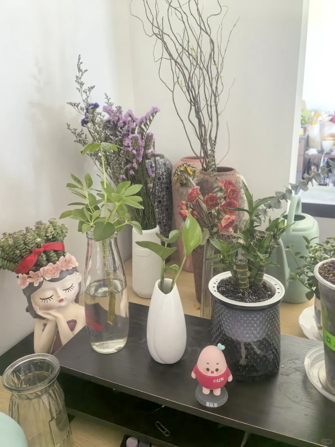 我早晚在办公室偷偷养花以后