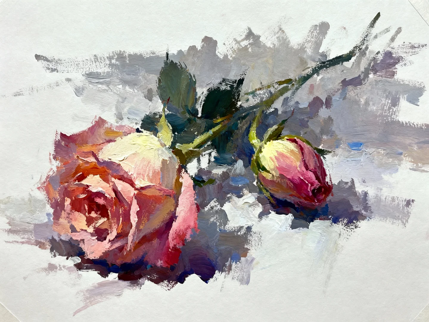 花卉绿植联考常考的花卉合集