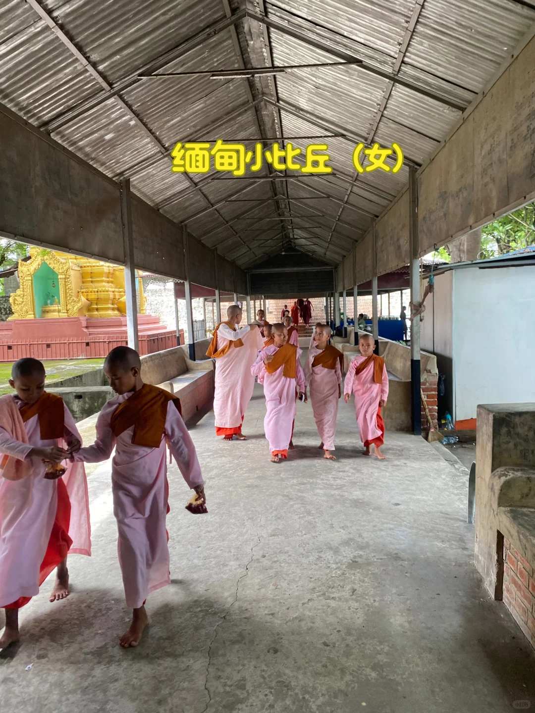 中缅源头翡翠批发市场现场代购