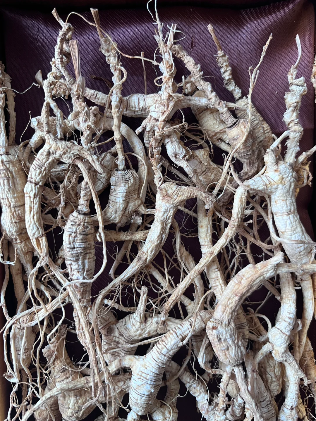 三十年的林下籽货