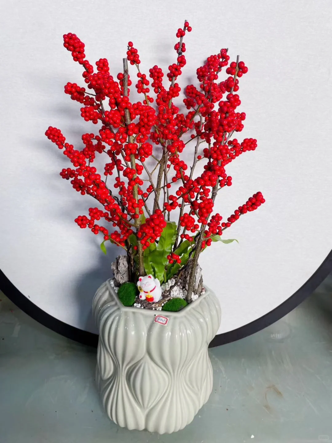 买到了梦中情花！小叶子真好看～