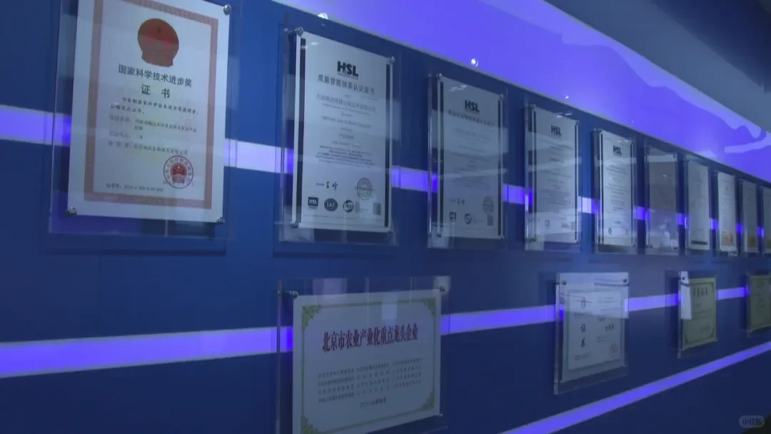 【牢记嘱托 感恩实干奋进】