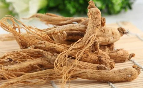 ? 华山参：熬夜党必备，秒回血