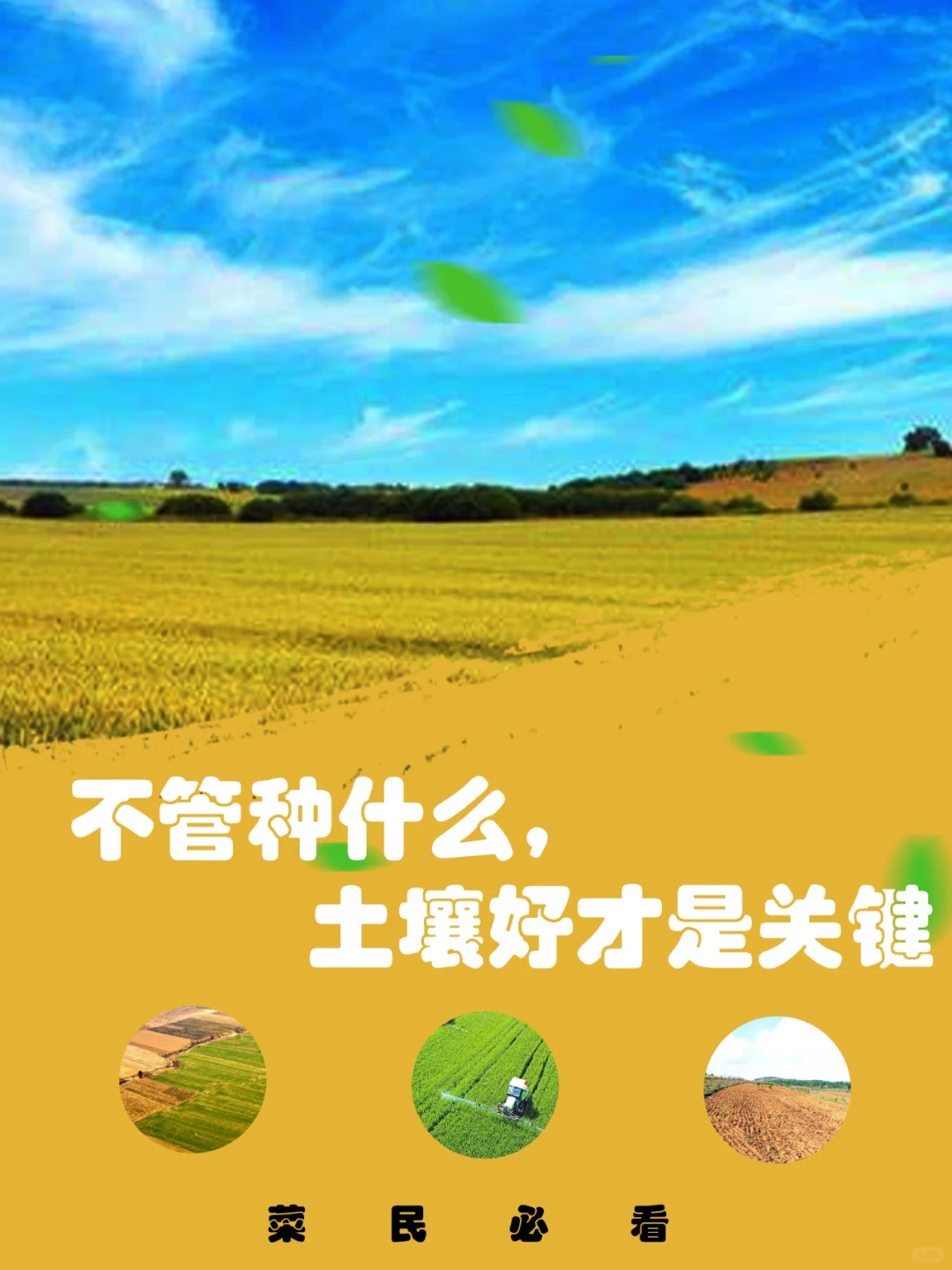 不管种什么，土壤好才是关键