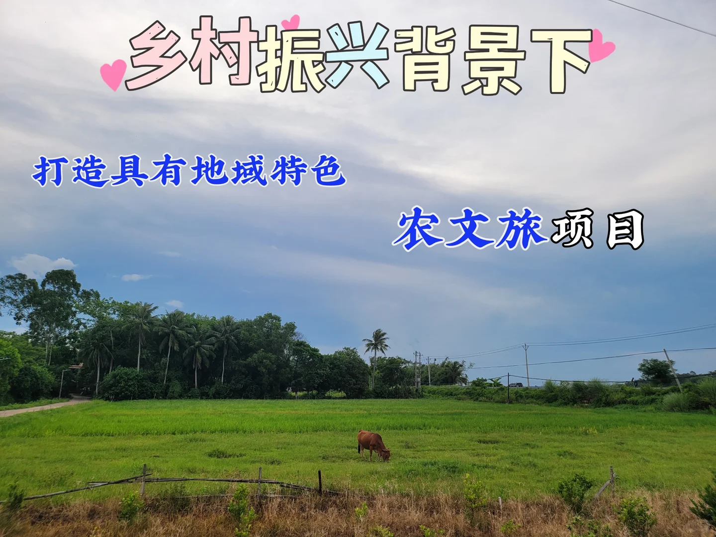 如何打造具有地域特色的农文旅项目？