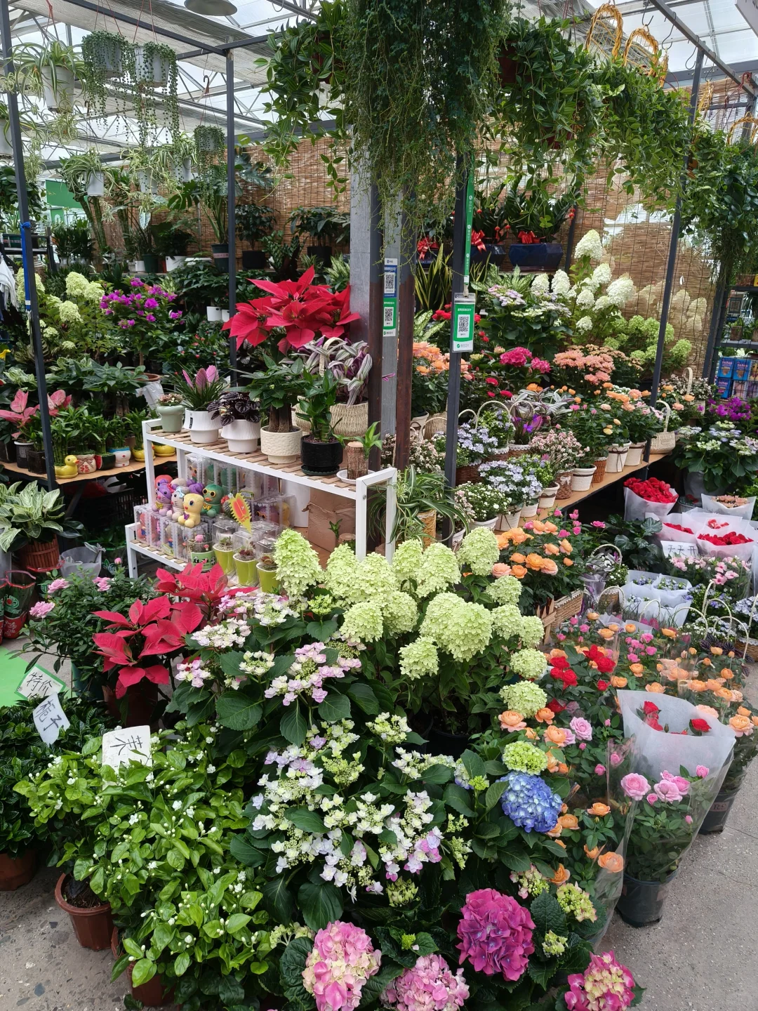 周末就去叁五壹壹吧！