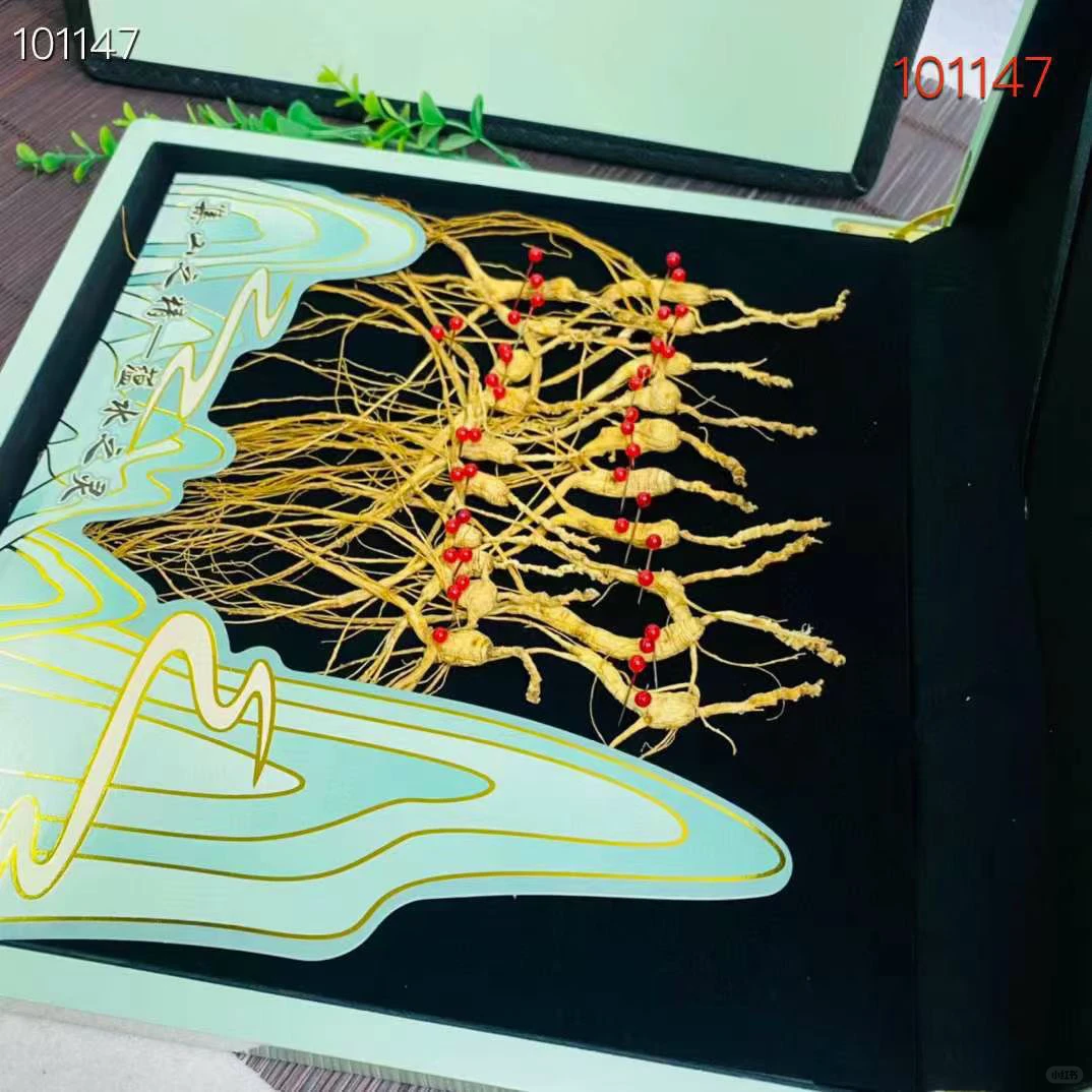 林下参籽20支翡翠绿 10套起批100/盒不包邮