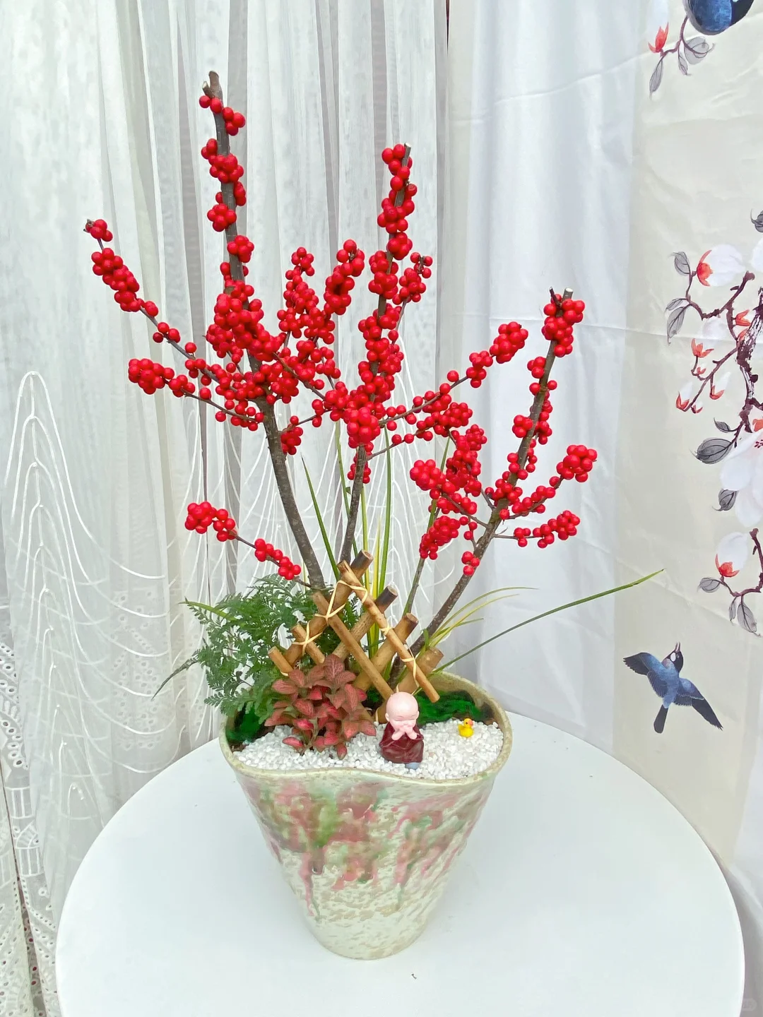 北美冬青精品盆栽上新