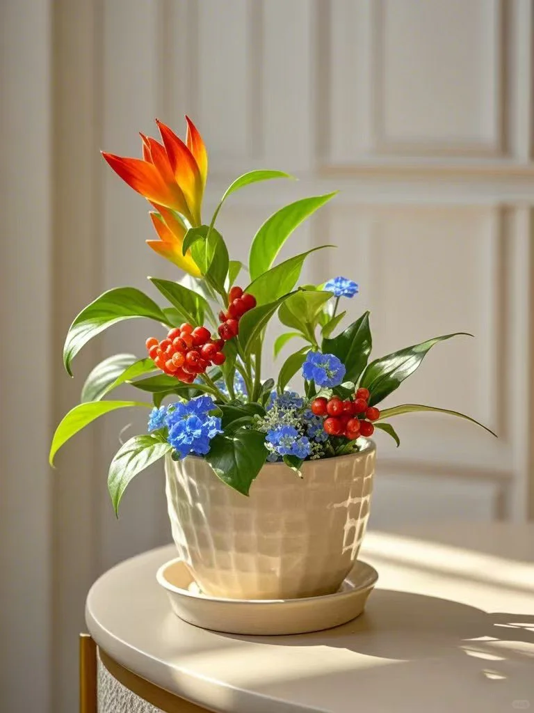 No.43#每日一植#鸟尾花 ?