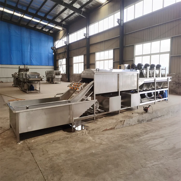 净菜加工流水线