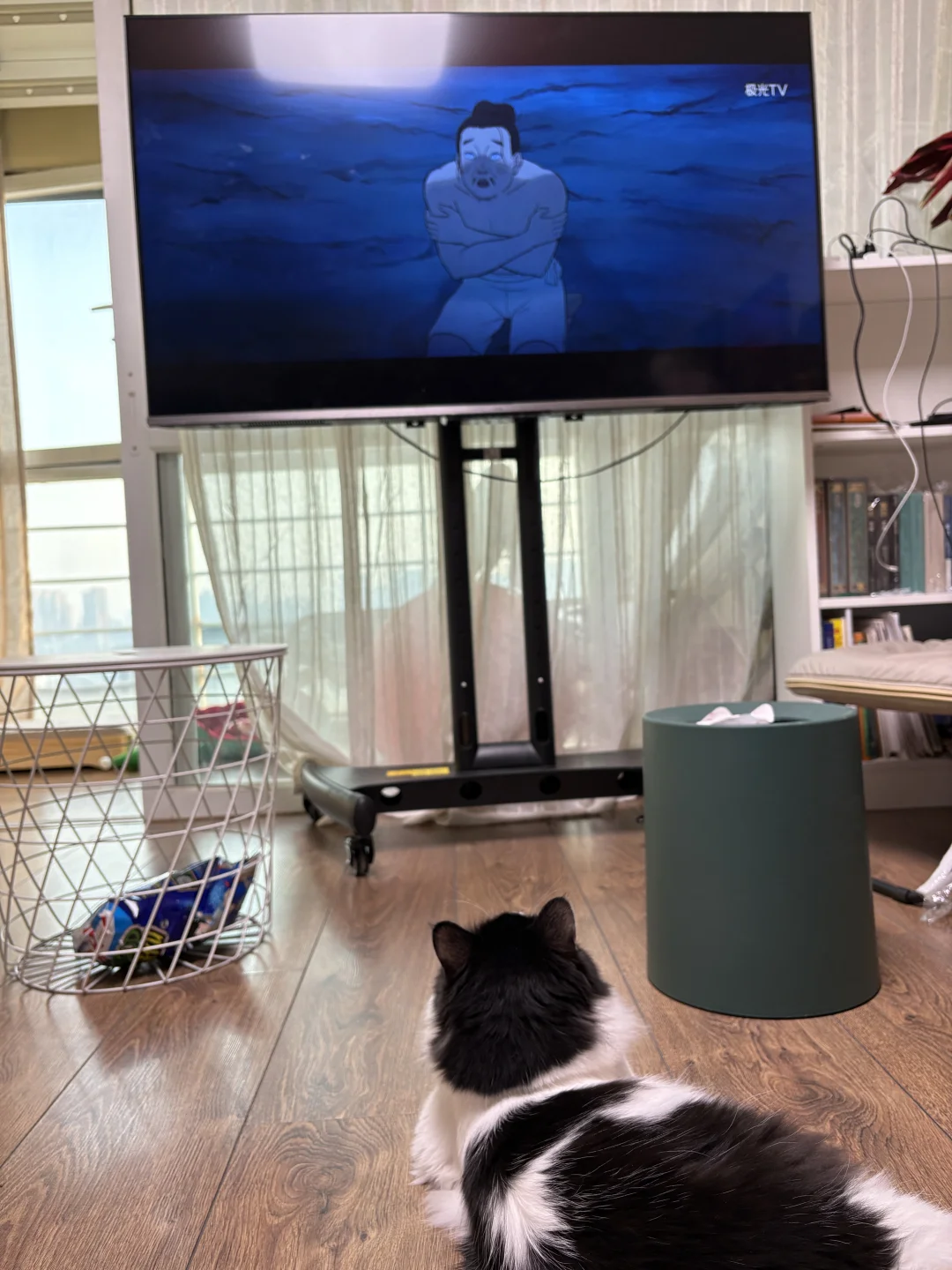 带小狗去四环花卉市场逛逛