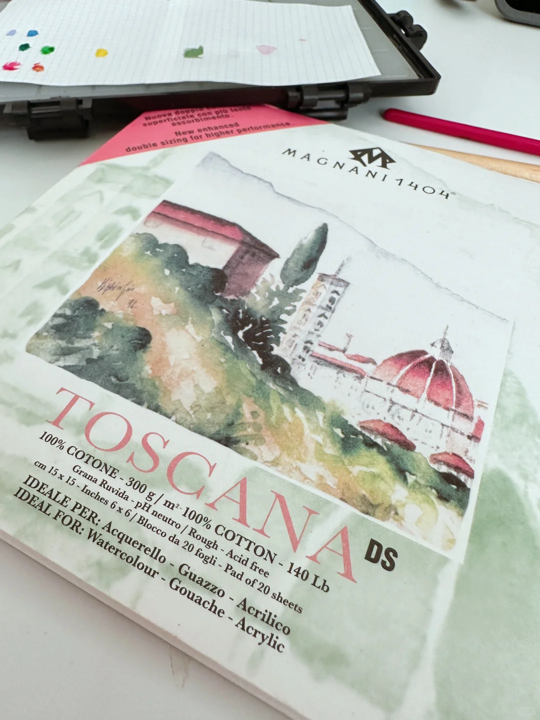 绿意消夏 大圆叶尤加利