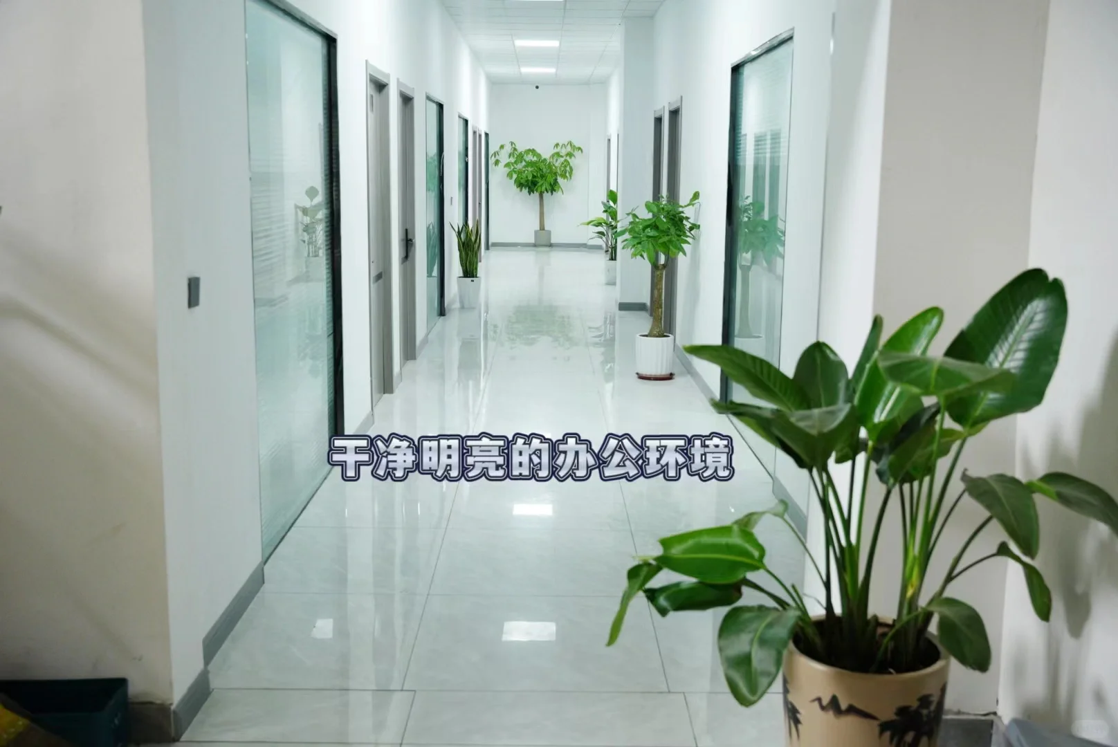 宿迁贰月哆食品有限公司