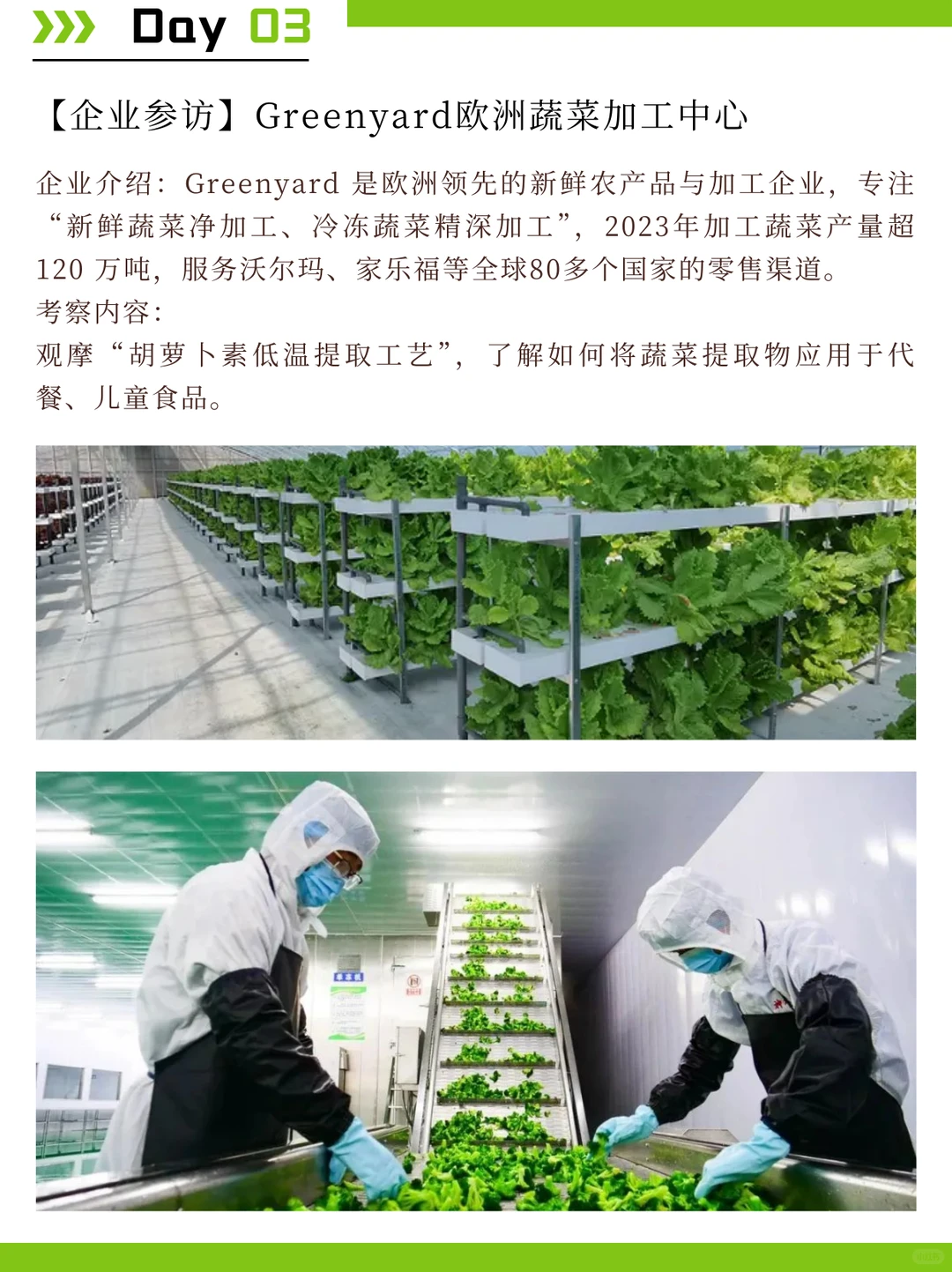 荷兰食品考察：探索植物基与科技加工趋势
