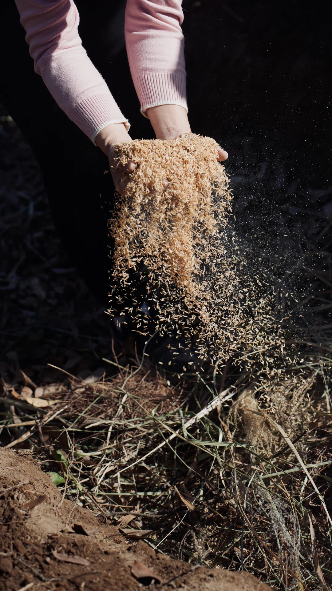 酵素的制作与土壤的快速改良。