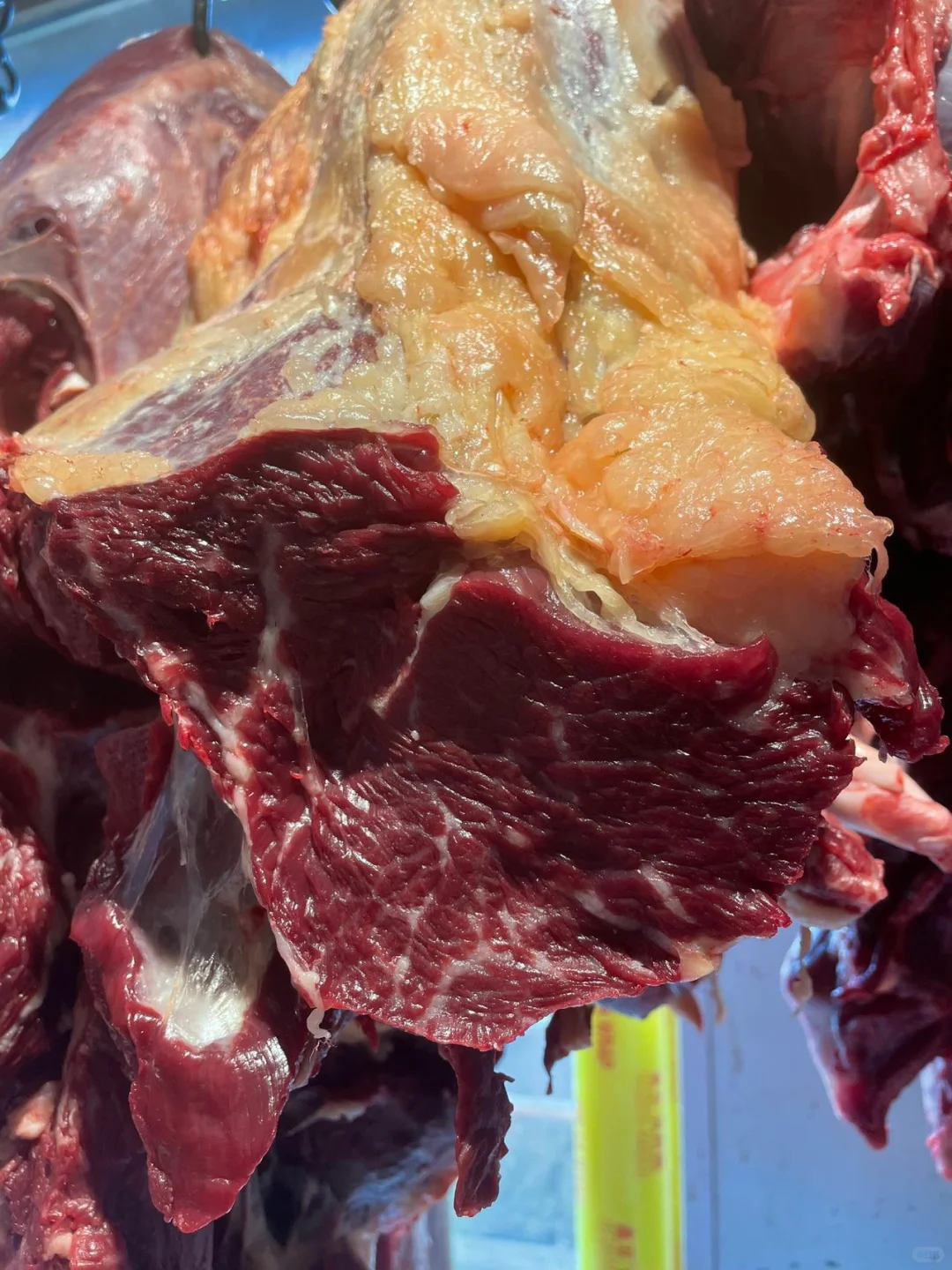 黄膘牛肉货源稳定