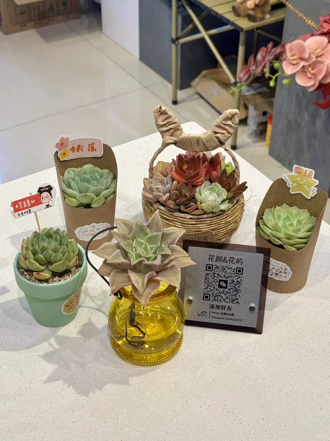 喜欢绿植的人都热爱生活吧