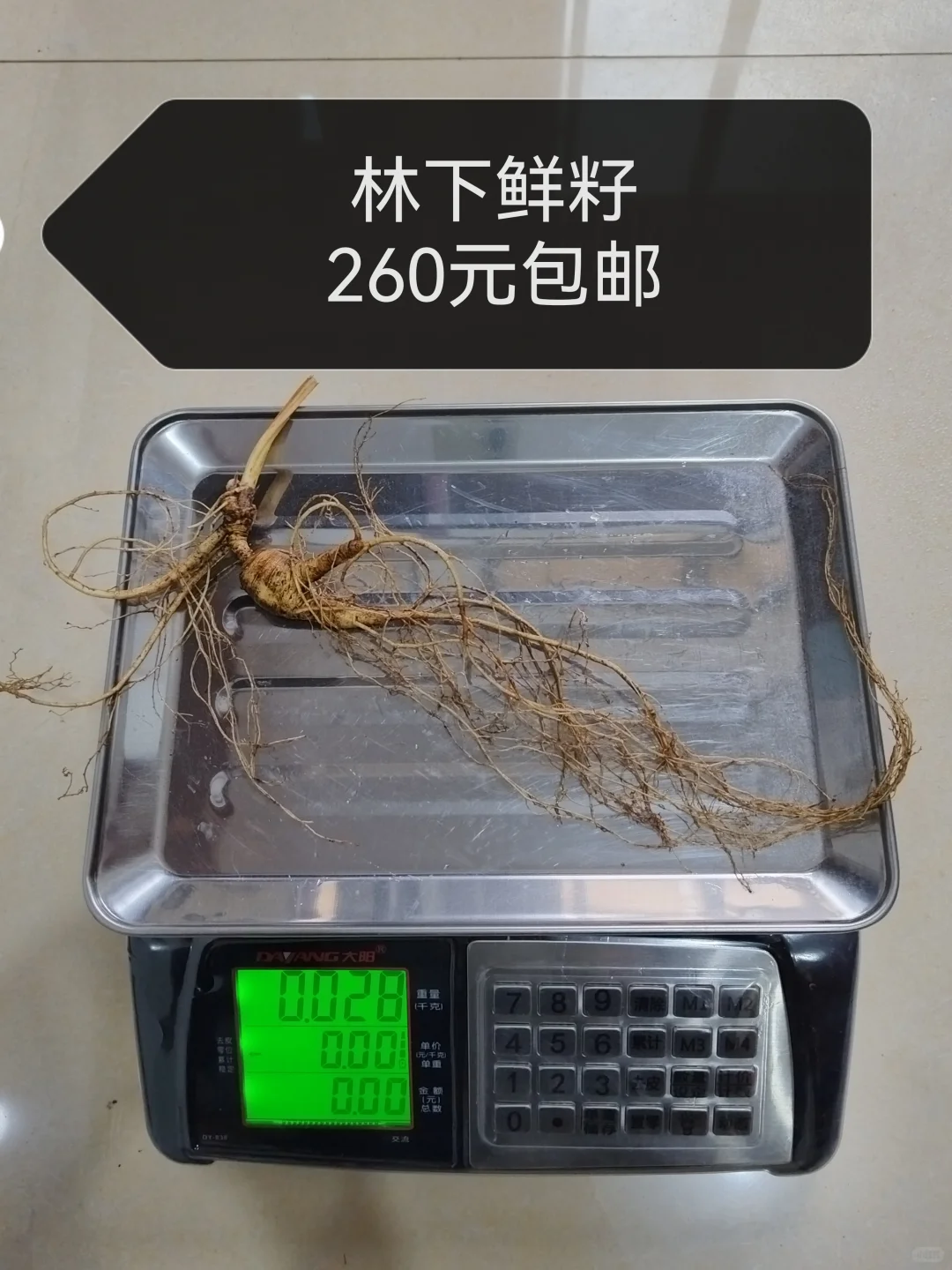 自然林下籽嘎嘎纯