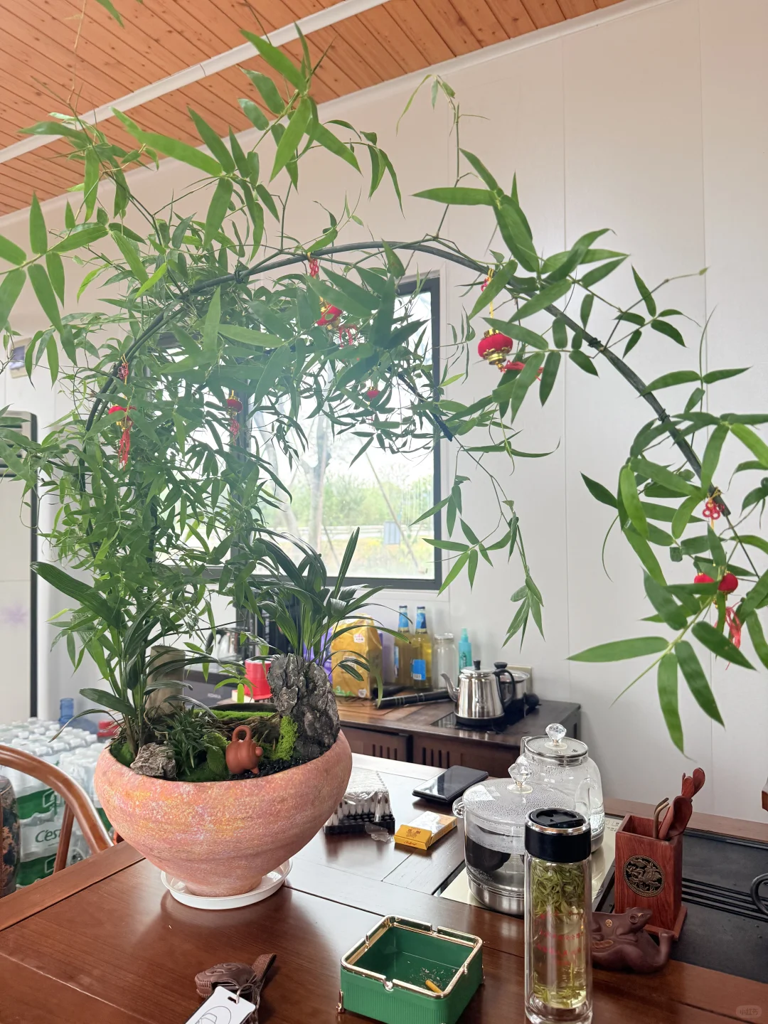 这花太漂亮了！太好拍了！