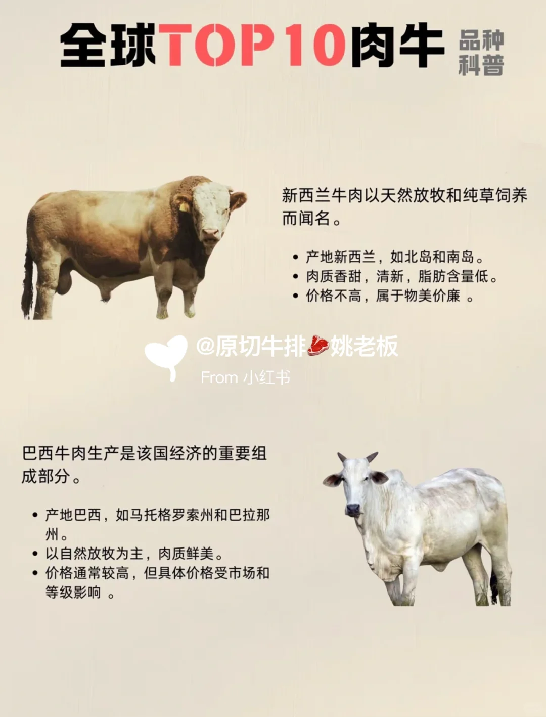 科普全球牛肉品种大合集！