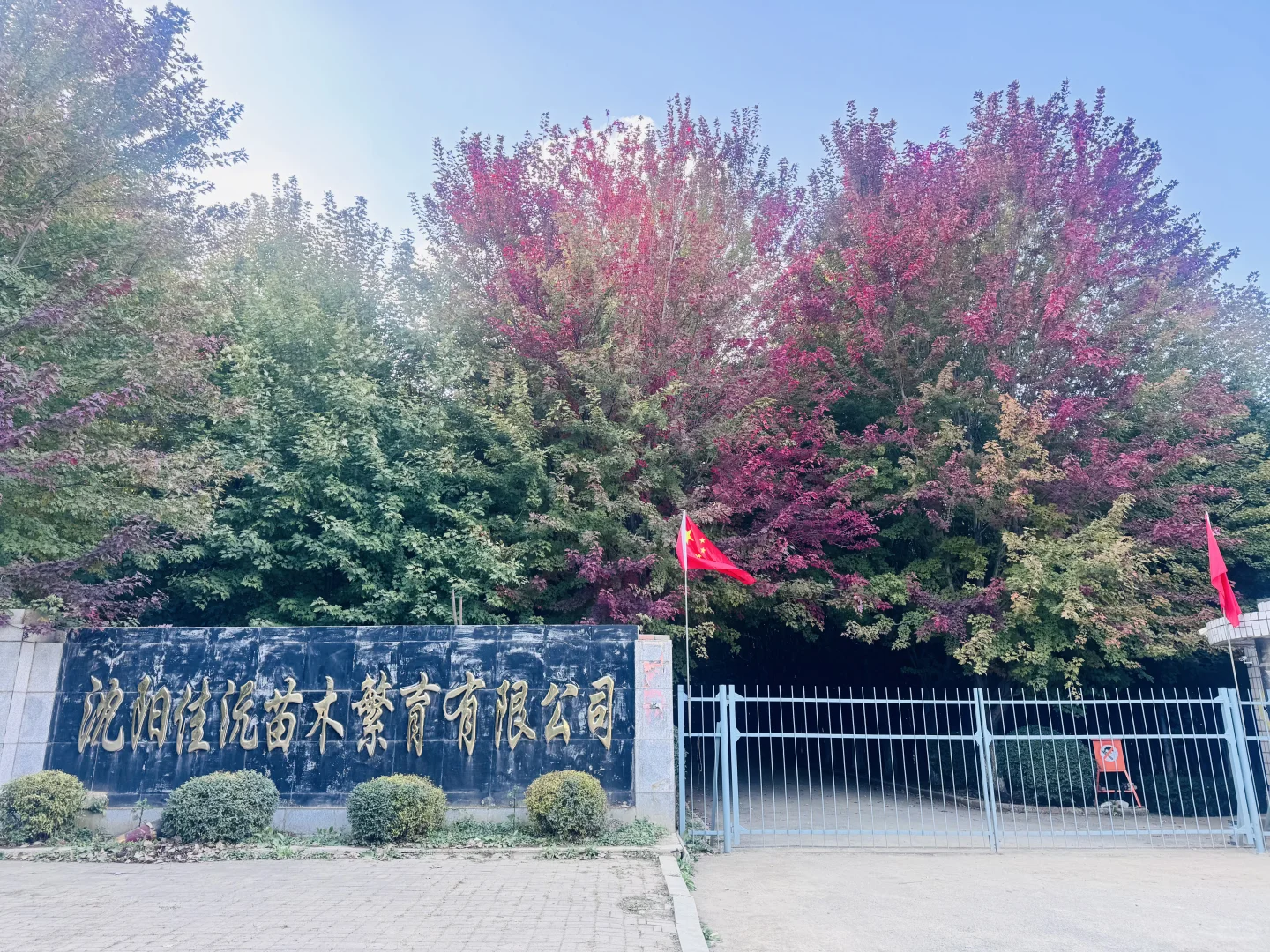 ? 沈阳佳沅苗木繁育有限公司