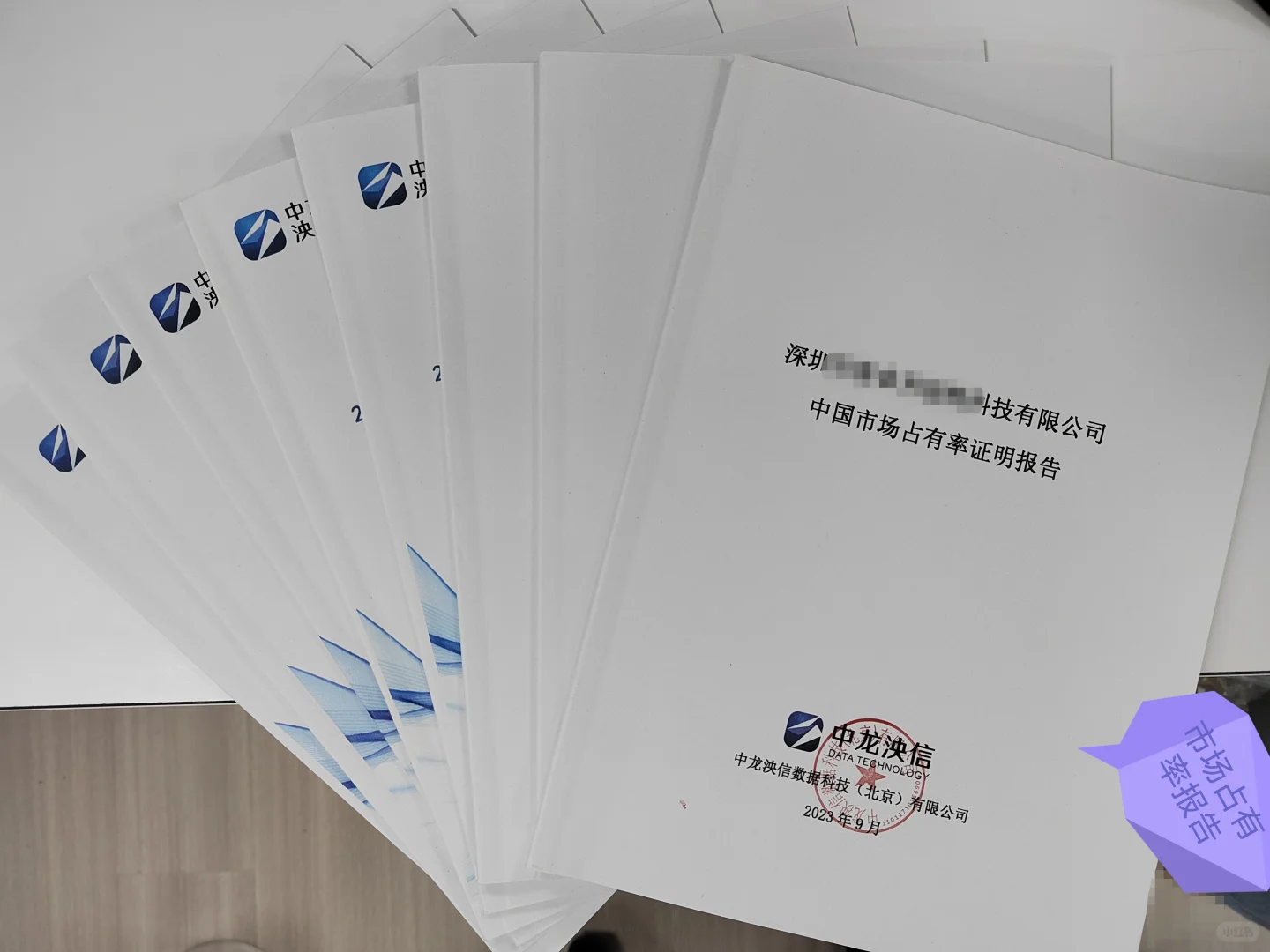 国内细分市场占有率证明材料