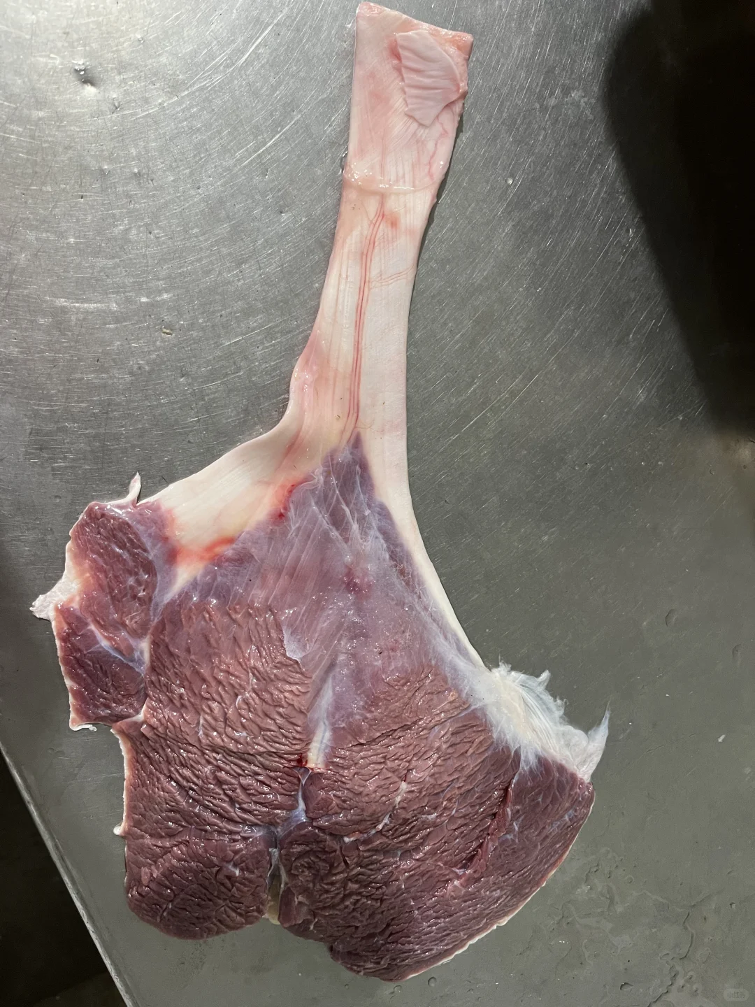 有要的鸵鸟肉的联系