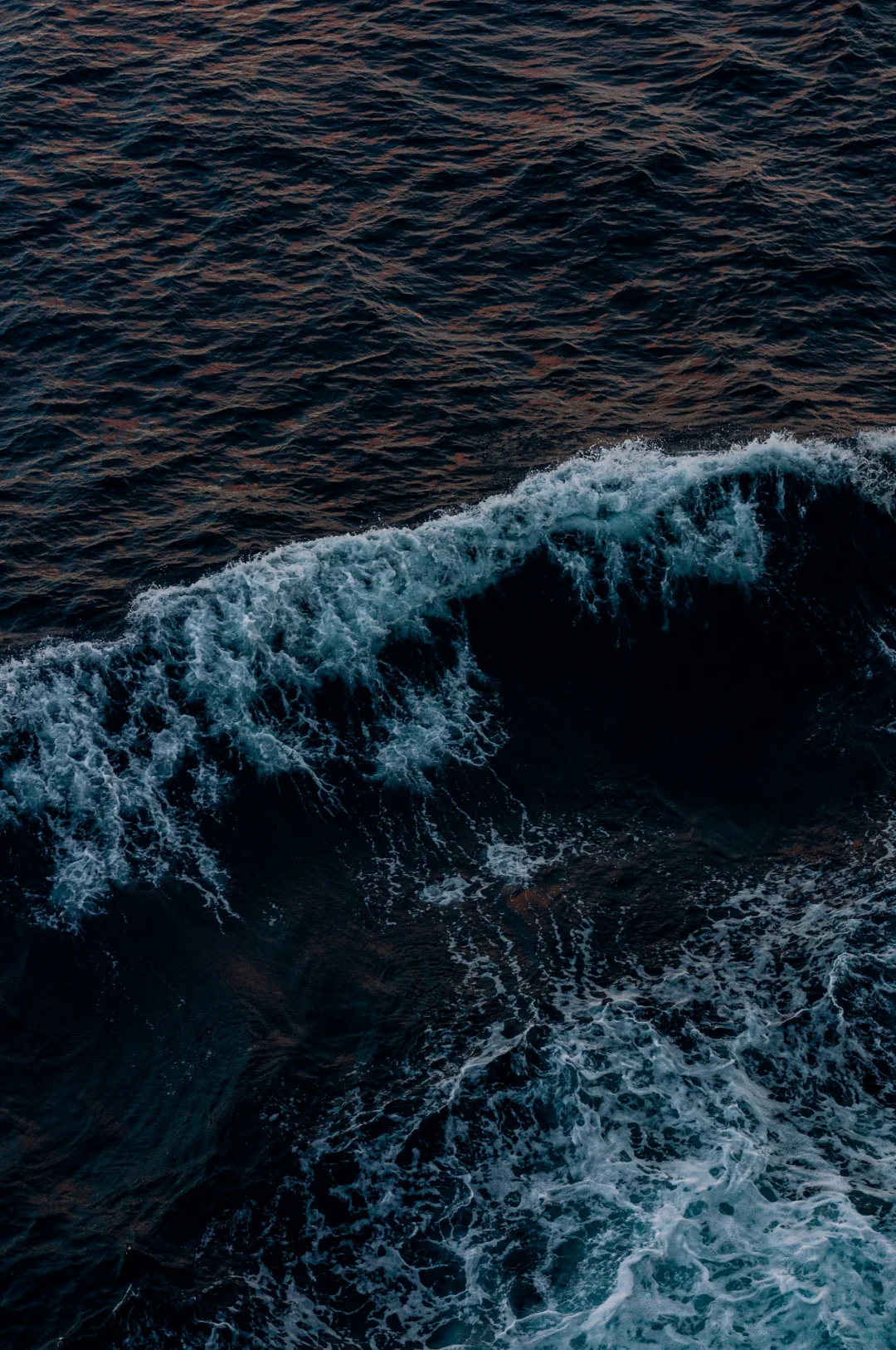 大食物观⛰️❄️?