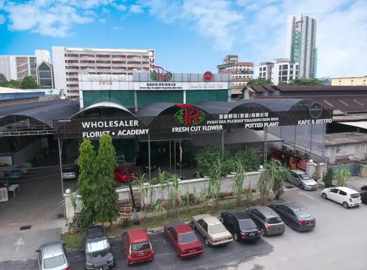 ??鈴蘭終於買到了_請教大神熱帶養護技巧