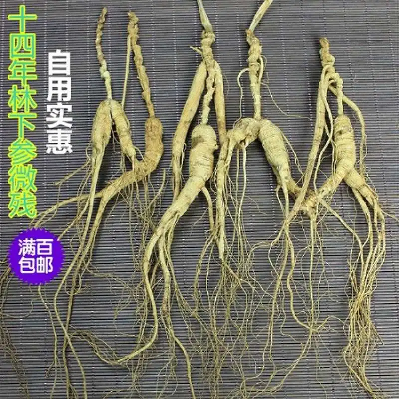 自然馈赠的林下珍宝?